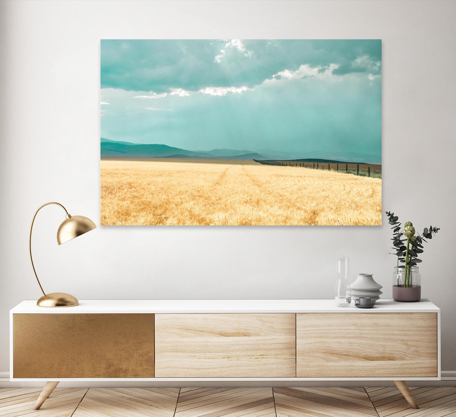 Harvest Shadow by Annie Bailey Art on GIANT ART - blue,beige landscapes, photography, farms, hills