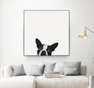Loyalty by Jon Bertelli on GIANT ART - black,white photography, animals, dogs, humor