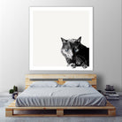Inquisitive by Jon Bertelli on GIANT ART - multicolor animals; photography