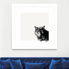 Inquisitive by Jon Bertelli on GIANT ART - multicolor animals; photography