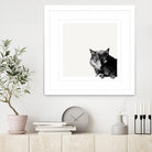 Inquisitive by Jon Bertelli on GIANT ART - multicolor animals; photography