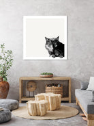 Inquisitive by Jon Bertelli on GIANT ART - multicolor animals; photography