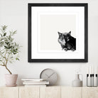 Inquisitive by Jon Bertelli on GIANT ART - multicolor animals; photography