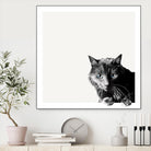 Inquisitive by Jon Bertelli on GIANT ART - multicolor animals; photography