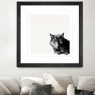 Inquisitive by Jon Bertelli on GIANT ART - multicolor animals; photography