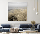 Tuscan Dunes #2A by Alan Blaustein on GIANT ART - multicolor photography; landscapes; coastal