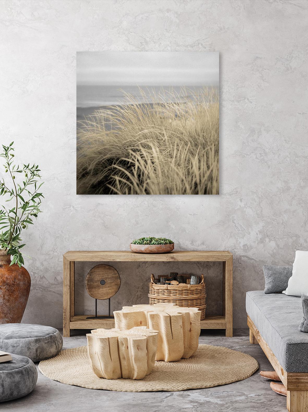 Tuscan Dunes #2A by Alan Blaustein on GIANT ART - multicolor photography; landscapes; coastal