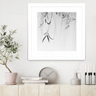 Willow Print No. 1 by Nicholas Bell on GIANT ART - multicolor photography