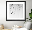 Willow Print No. 1 by Nicholas Bell on GIANT ART - multicolor photography