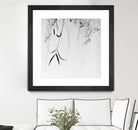 Willow Print No. 1 by Nicholas Bell on GIANT ART - multicolor photography