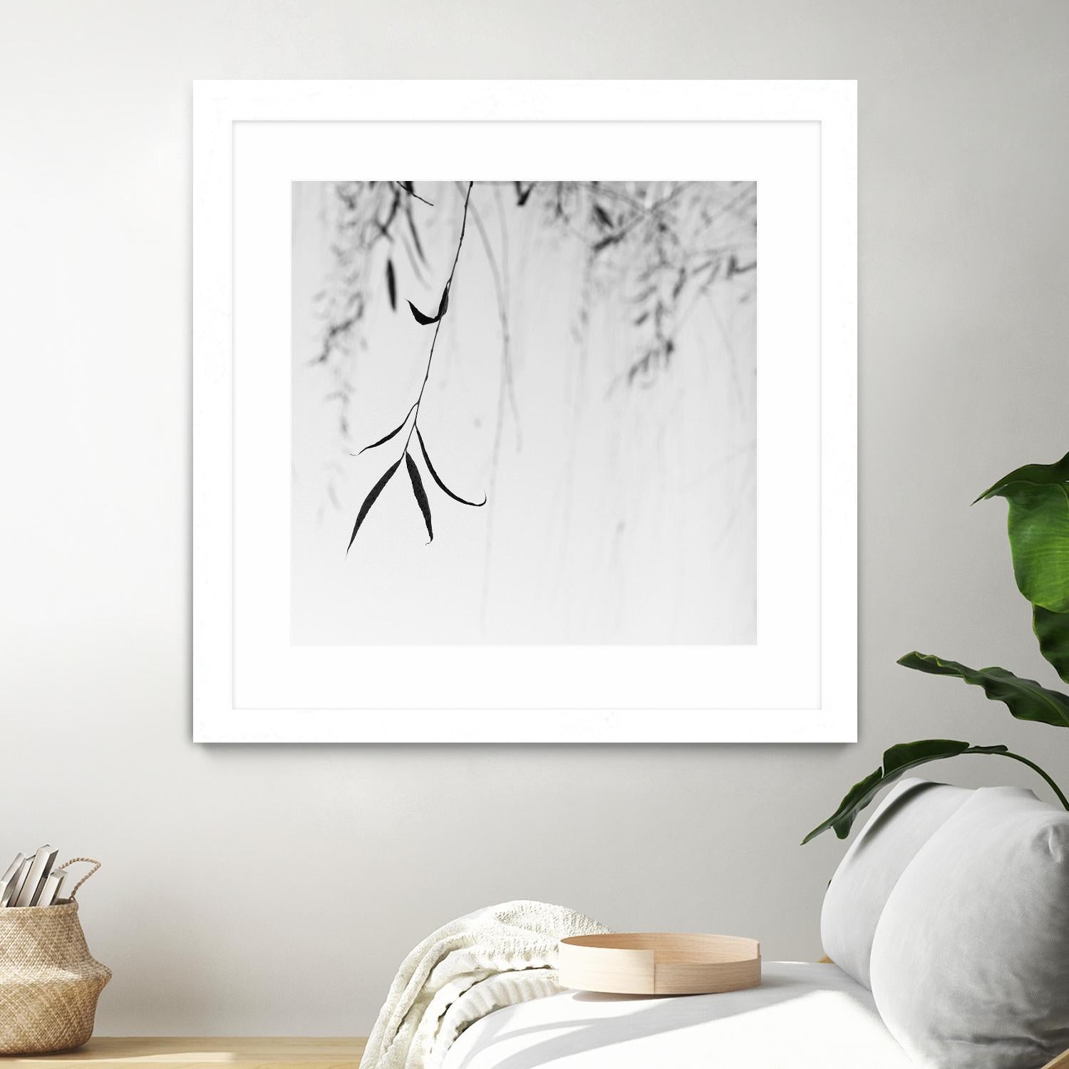 Willow Print No. 1 by Nicholas Bell on GIANT ART - multicolor photography