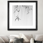 Willow Print No. 1 by Nicholas Bell on GIANT ART - multicolor photography