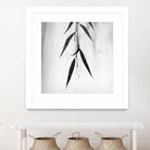 Willow Print No. 2 by Nicholas Bell on GIANT ART - multicolor photography