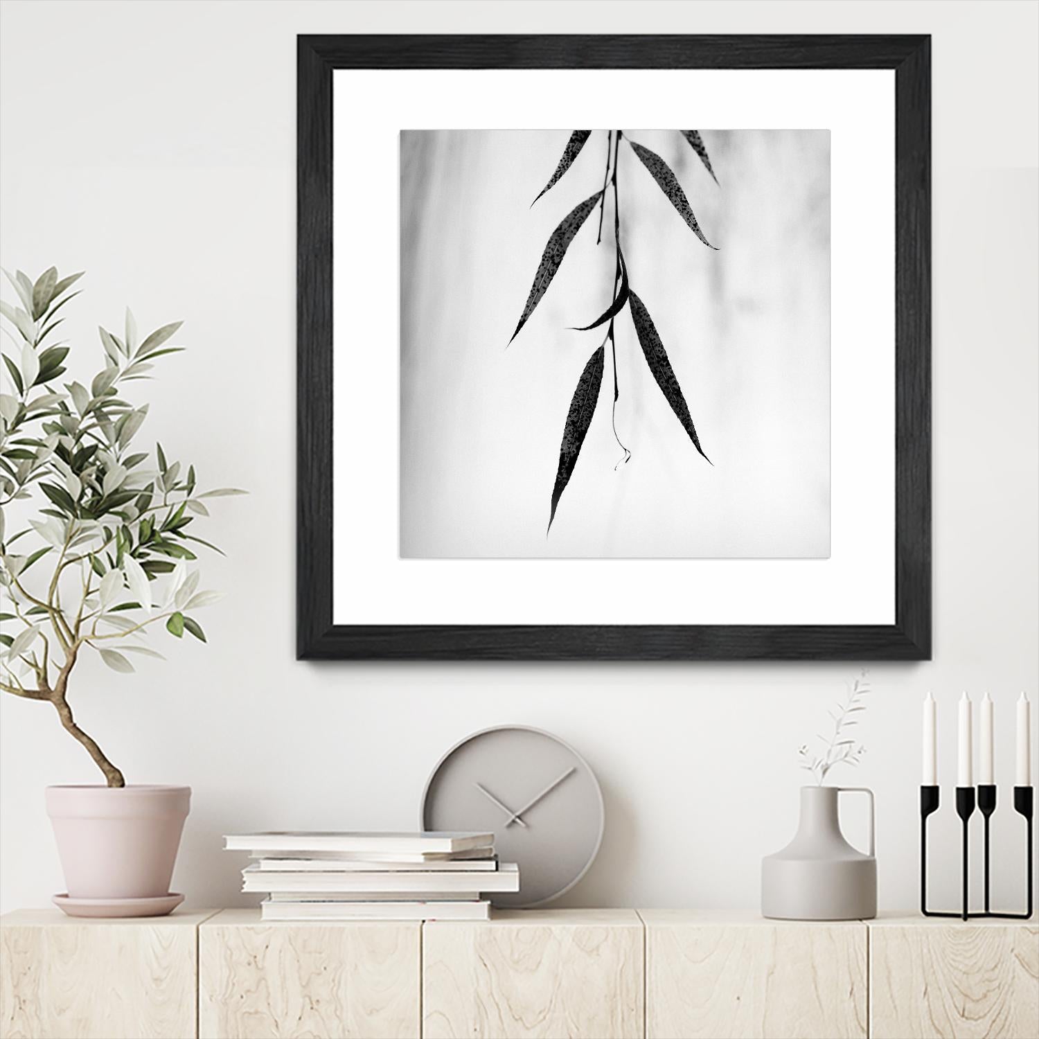 Willow Print No. 2 by Nicholas Bell on GIANT ART - multicolor photography