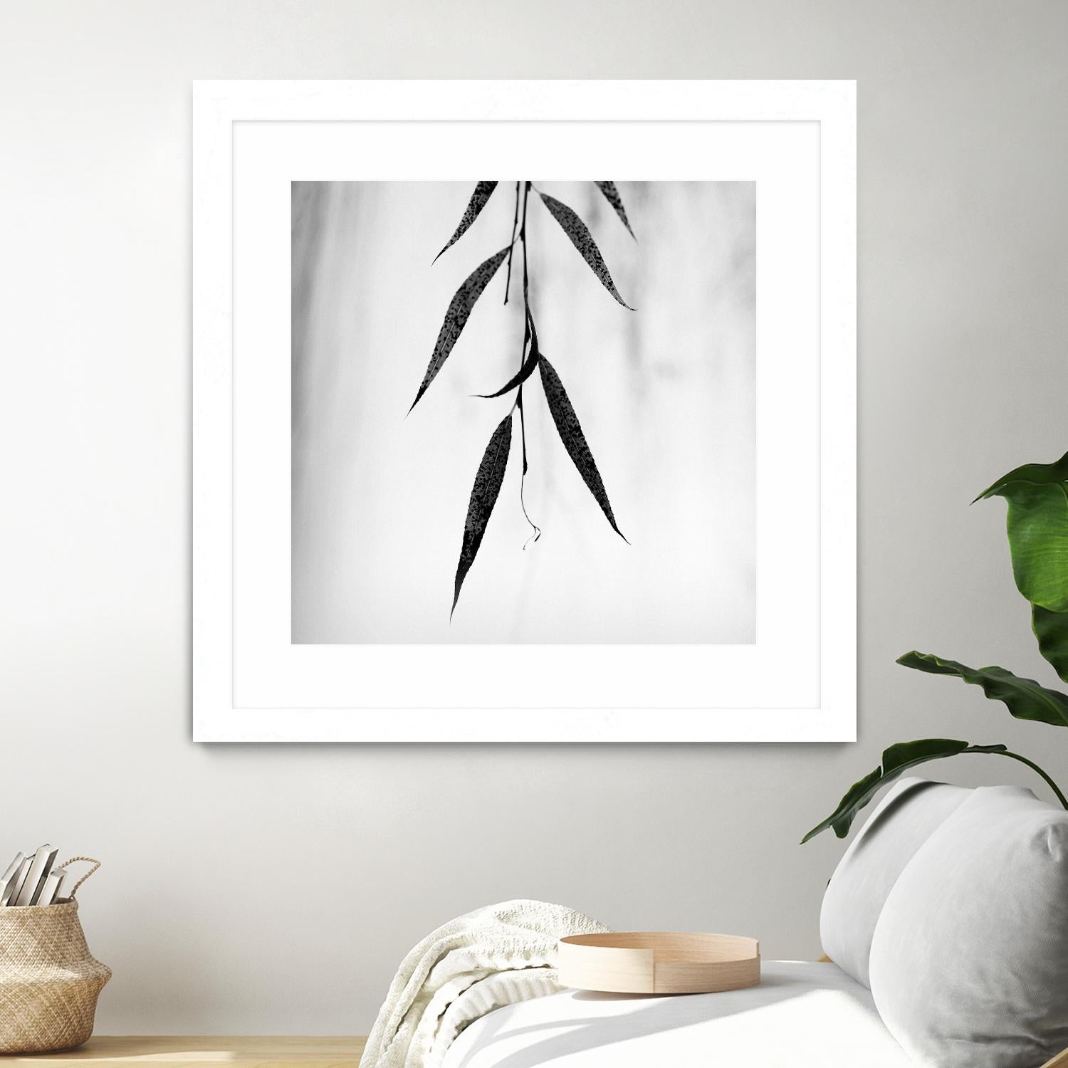 Willow Print No. 2 by Nicholas Bell on GIANT ART - multicolor photography