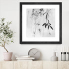 Willow Print No. 3 by Nicholas Bell on GIANT ART - multicolor photography