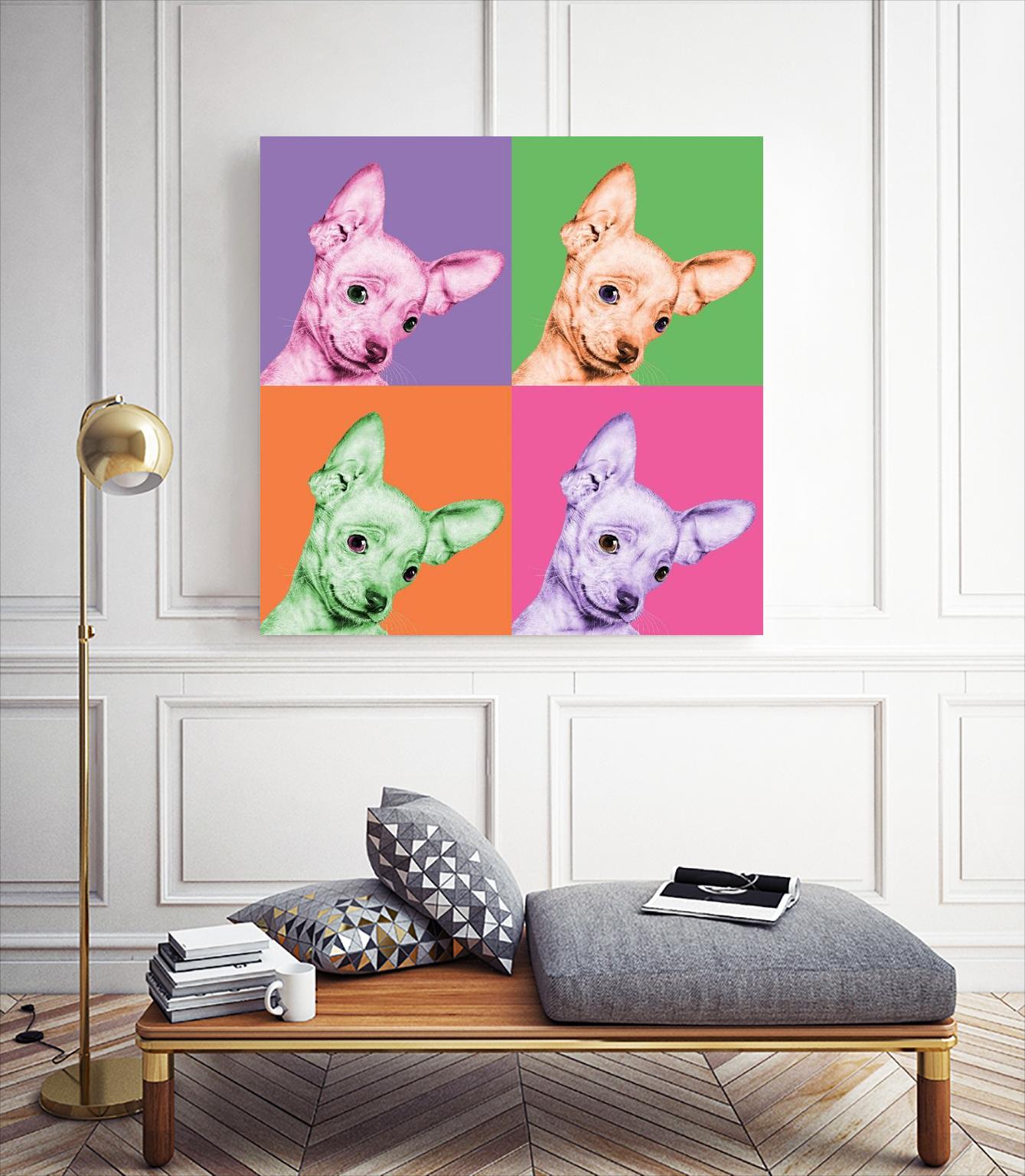 Sweet Chihuahua Pop by Jon Bertelli on GIANT ART - multicolor animals; photography; contemporary