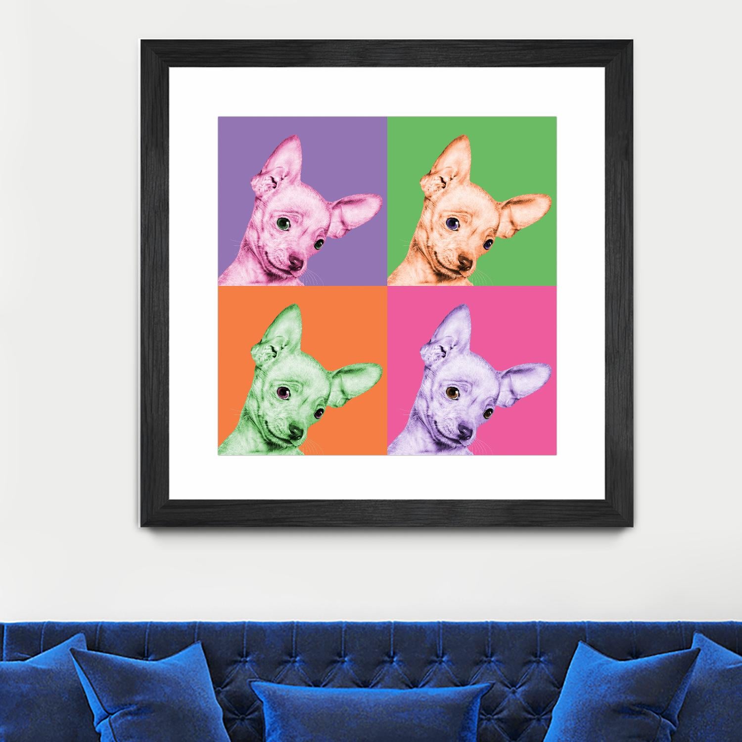 Sweet Chihuahua Pop by Jon Bertelli on GIANT ART - multicolor animals; photography; contemporary