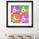 Sweet Chihuahua Pop by Jon Bertelli on GIANT ART - multicolor animals; photography; contemporary