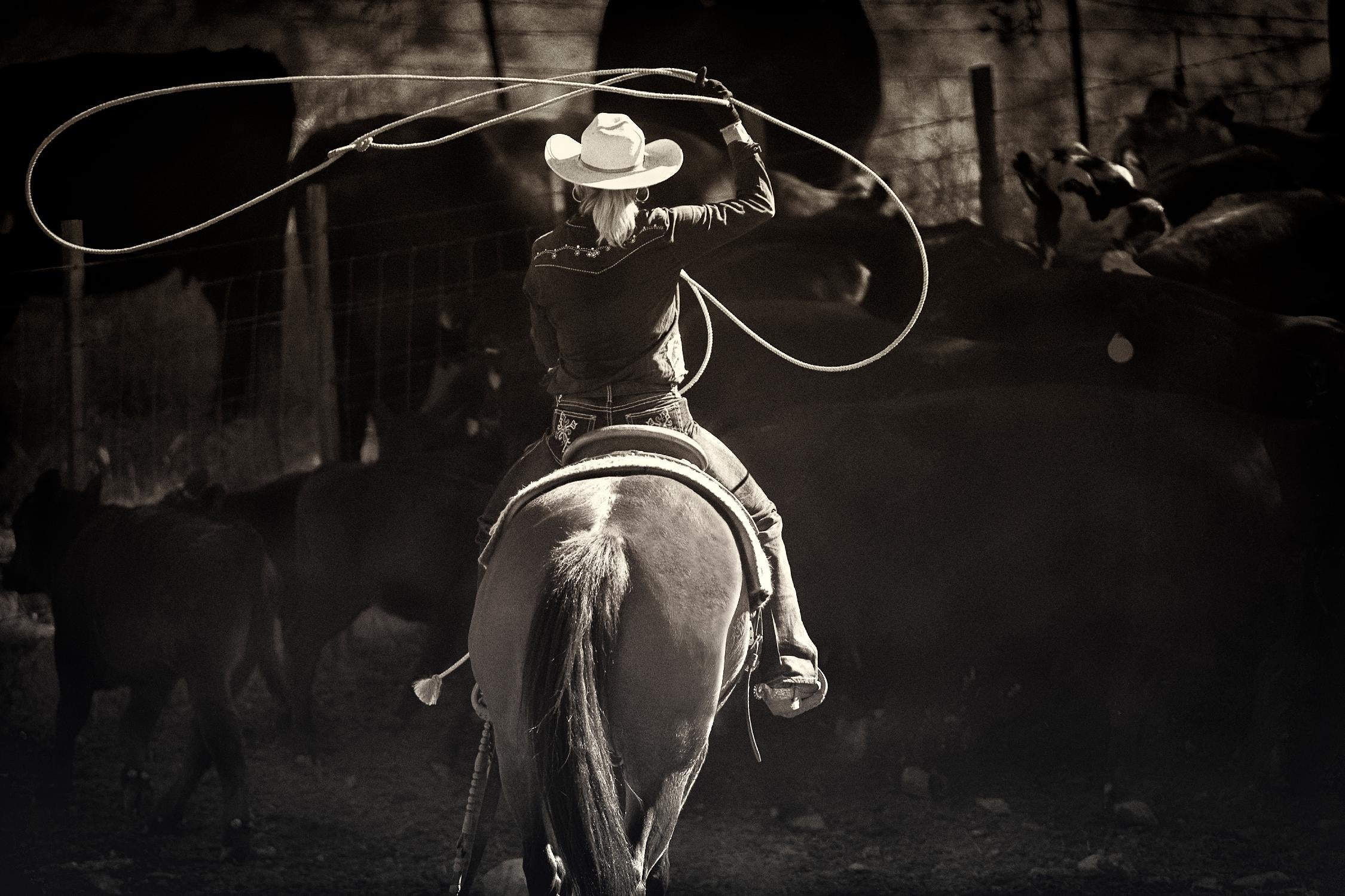 American Cowgirl by Lisa Dearing on GIANT ART - multicolor photography; animals; figurative