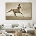 Like the Wind by Lisa Dearing on GIANT ART - multicolor photography; animals