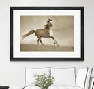 Like the Wind by Lisa Dearing on GIANT ART - multicolor photography; animals
