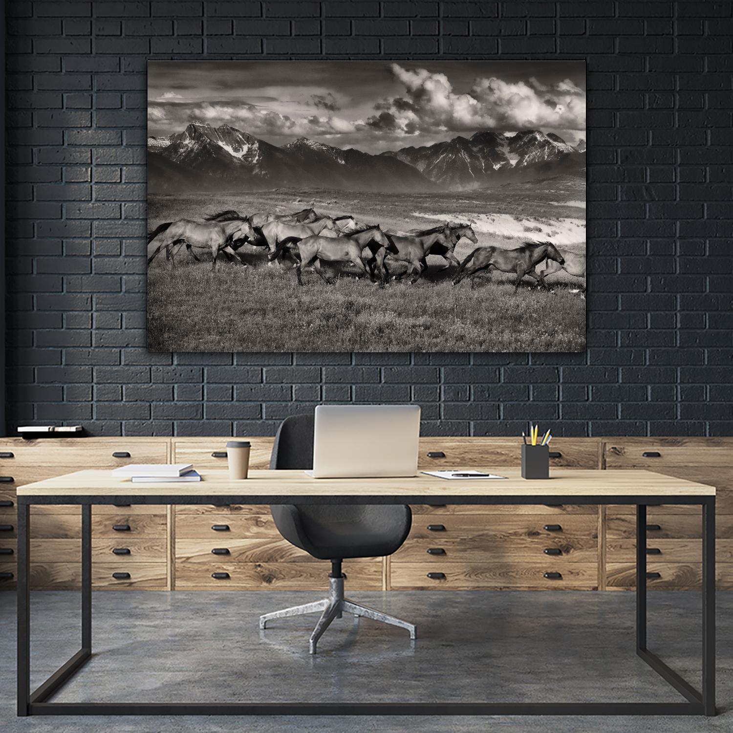 Mountain Range Mavericks by Lisa Dearing on GIANT ART - multicolor photography; animals