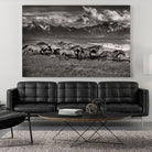 Mountain Range Mavericks by Lisa Dearing on GIANT ART - multicolor photography; animals