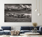 Mountain Range Mavericks by Lisa Dearing on GIANT ART - multicolor photography; animals