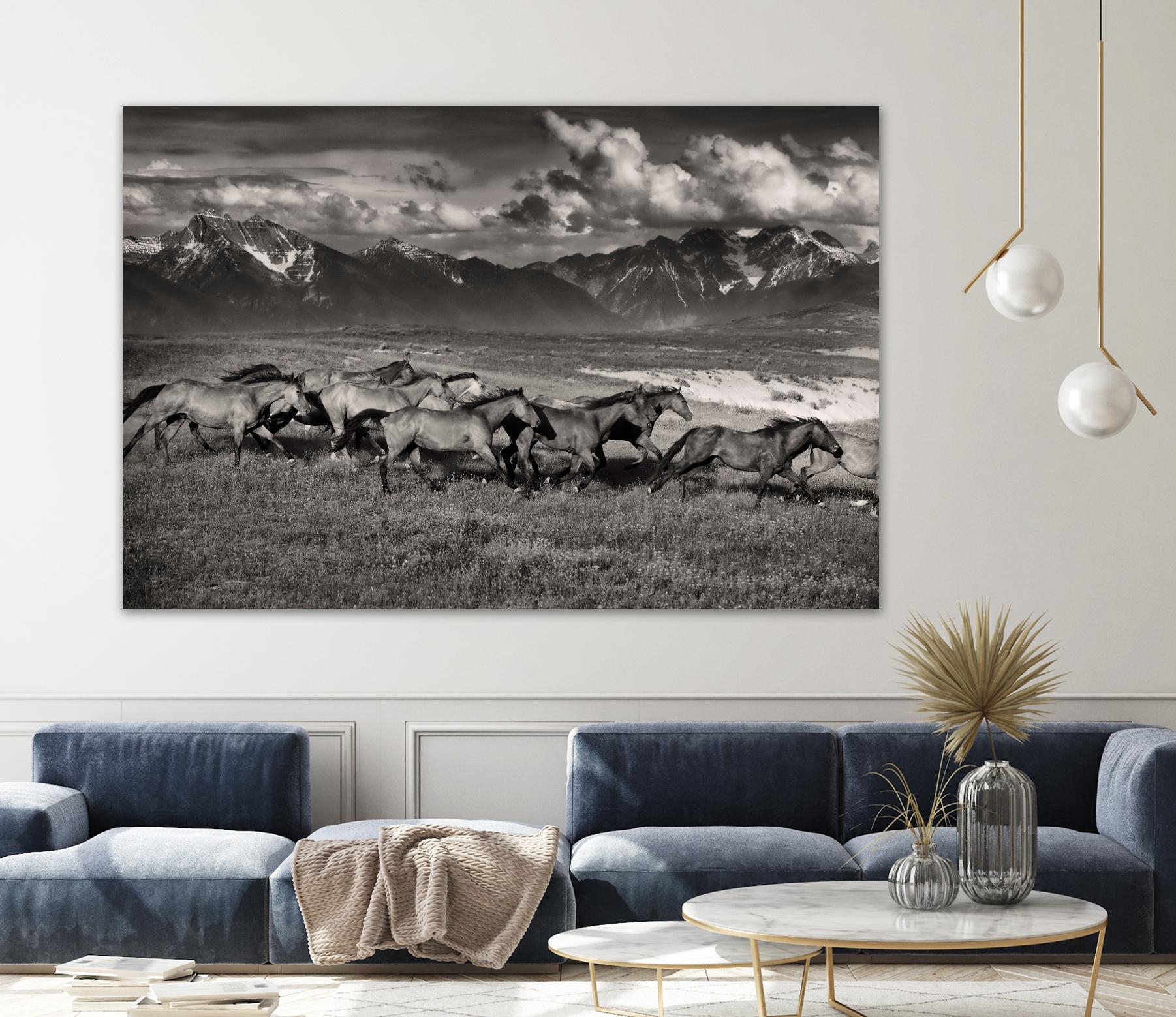 Mountain Range Mavericks by Lisa Dearing on GIANT ART - multicolor photography; animals
