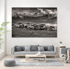 Mountain Range Mavericks by Lisa Dearing on GIANT ART - multicolor photography; animals