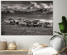 Mountain Range Mavericks by Lisa Dearing on GIANT ART - multicolor photography; animals