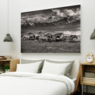 Mountain Range Mavericks by Lisa Dearing on GIANT ART - multicolor photography; animals