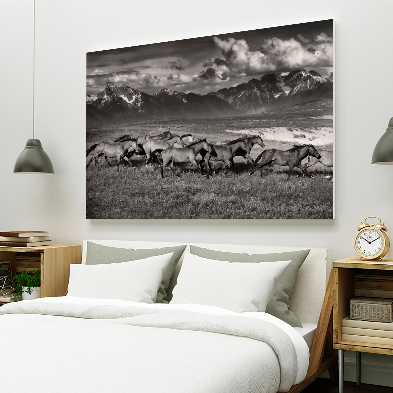 Mountain Range Mavericks by Lisa Dearing on GIANT ART - multicolor photography; animals