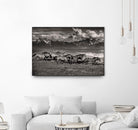 Mountain Range Mavericks by Lisa Dearing on GIANT ART - multicolor photography; animals
