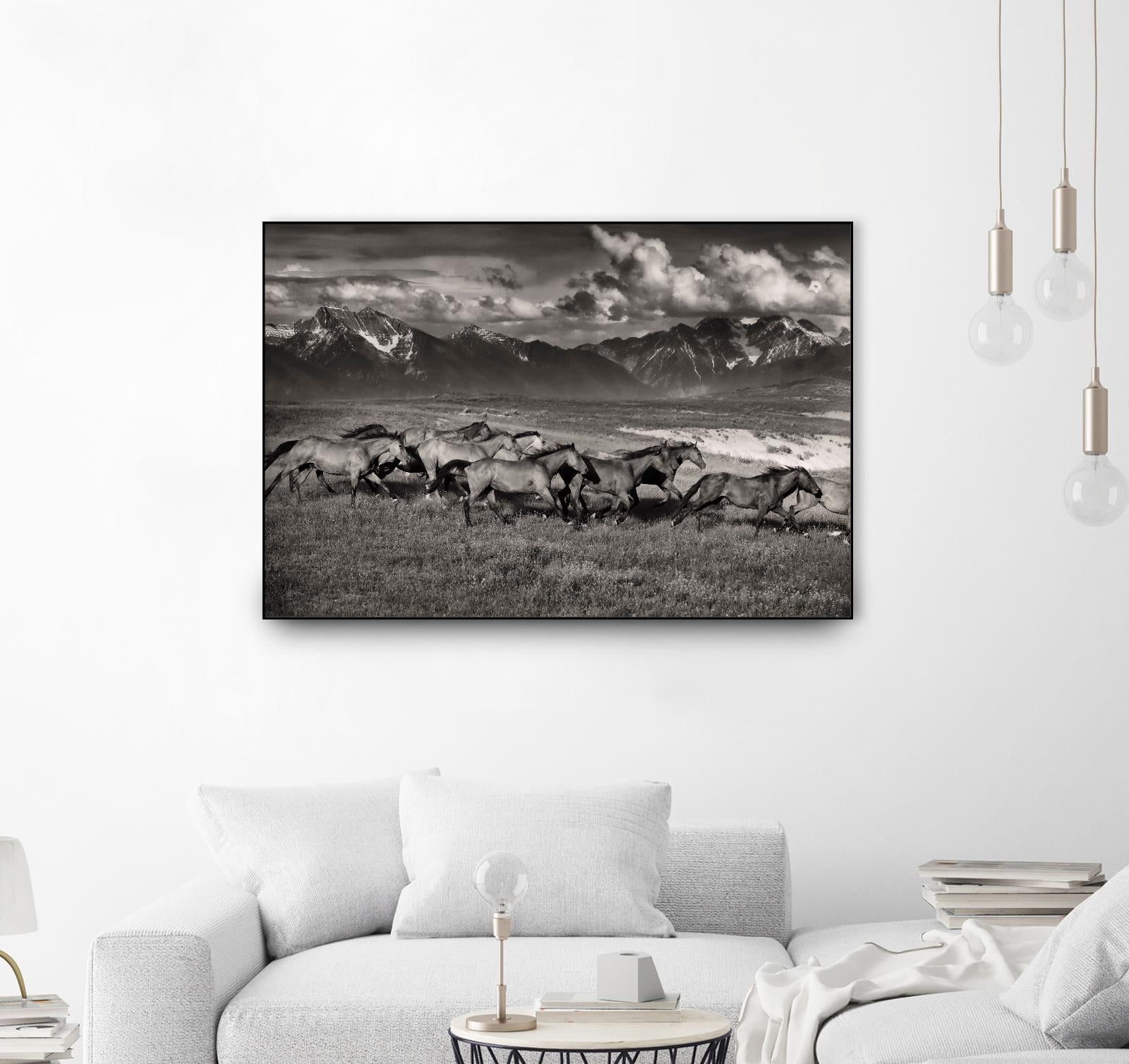 Mountain Range Mavericks by Lisa Dearing on GIANT ART - multicolor photography; animals