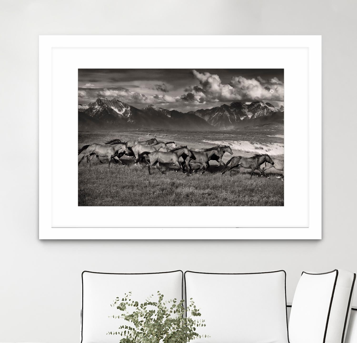 Mountain Range Mavericks by Lisa Dearing on GIANT ART - multicolor photography; animals