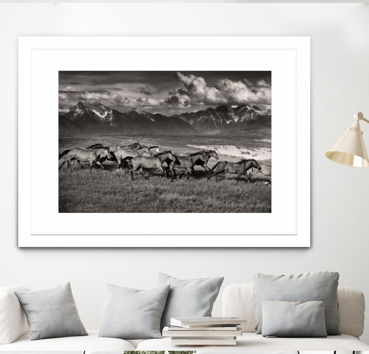 Mountain Range Mavericks by Lisa Dearing on GIANT ART - multicolor photography; animals