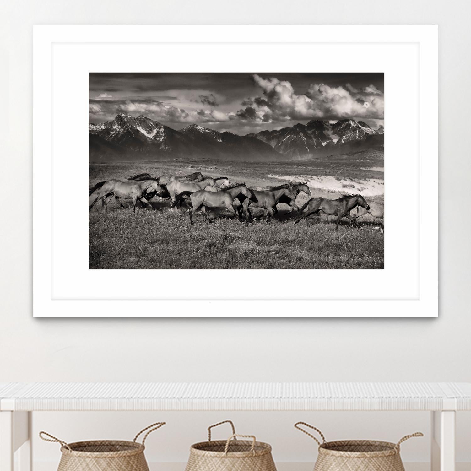 Mountain Range Mavericks by Lisa Dearing on GIANT ART - multicolor photography; animals