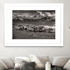 Mountain Range Mavericks by Lisa Dearing on GIANT ART - multicolor photography; animals