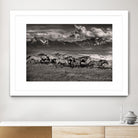 Mountain Range Mavericks by Lisa Dearing on GIANT ART - multicolor photography; animals