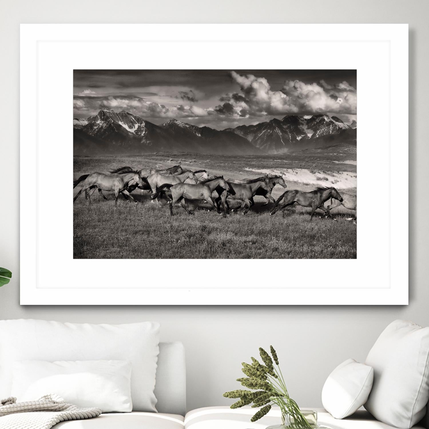Mountain Range Mavericks by Lisa Dearing on GIANT ART - multicolor photography; animals