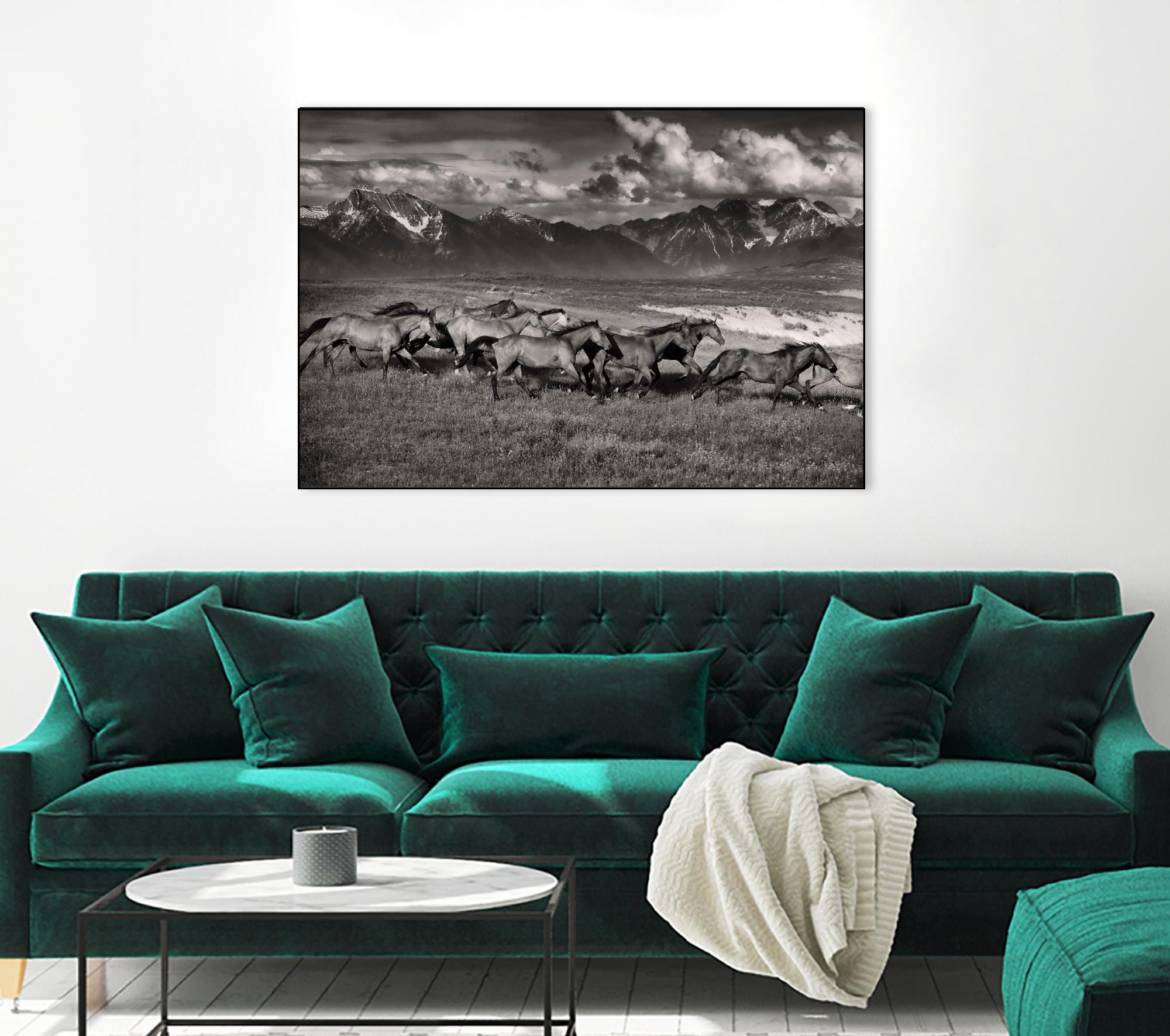Mountain Range Mavericks by Lisa Dearing on GIANT ART - multicolor photography; animals