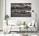 Mountain Range Mavericks by Lisa Dearing on GIANT ART - multicolor photography; animals