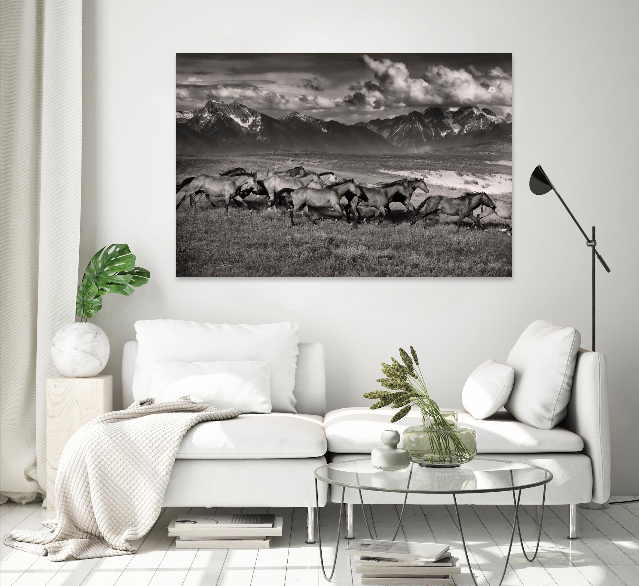 Mountain Range Mavericks by Lisa Dearing on GIANT ART - multicolor photography; animals
