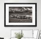Mountain Range Mavericks by Lisa Dearing on GIANT ART - multicolor photography; animals