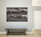 Mountain Range Mavericks by Lisa Dearing on GIANT ART - multicolor photography; animals