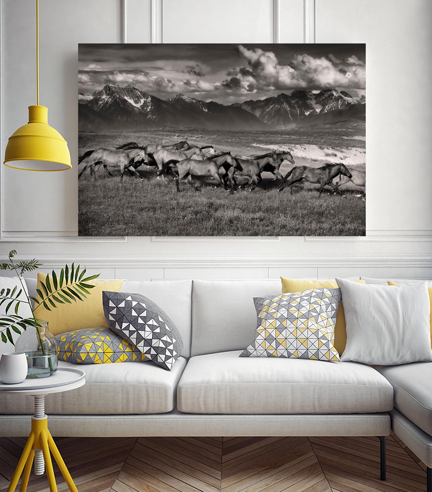 Mountain Range Mavericks by Lisa Dearing on GIANT ART - multicolor photography; animals
