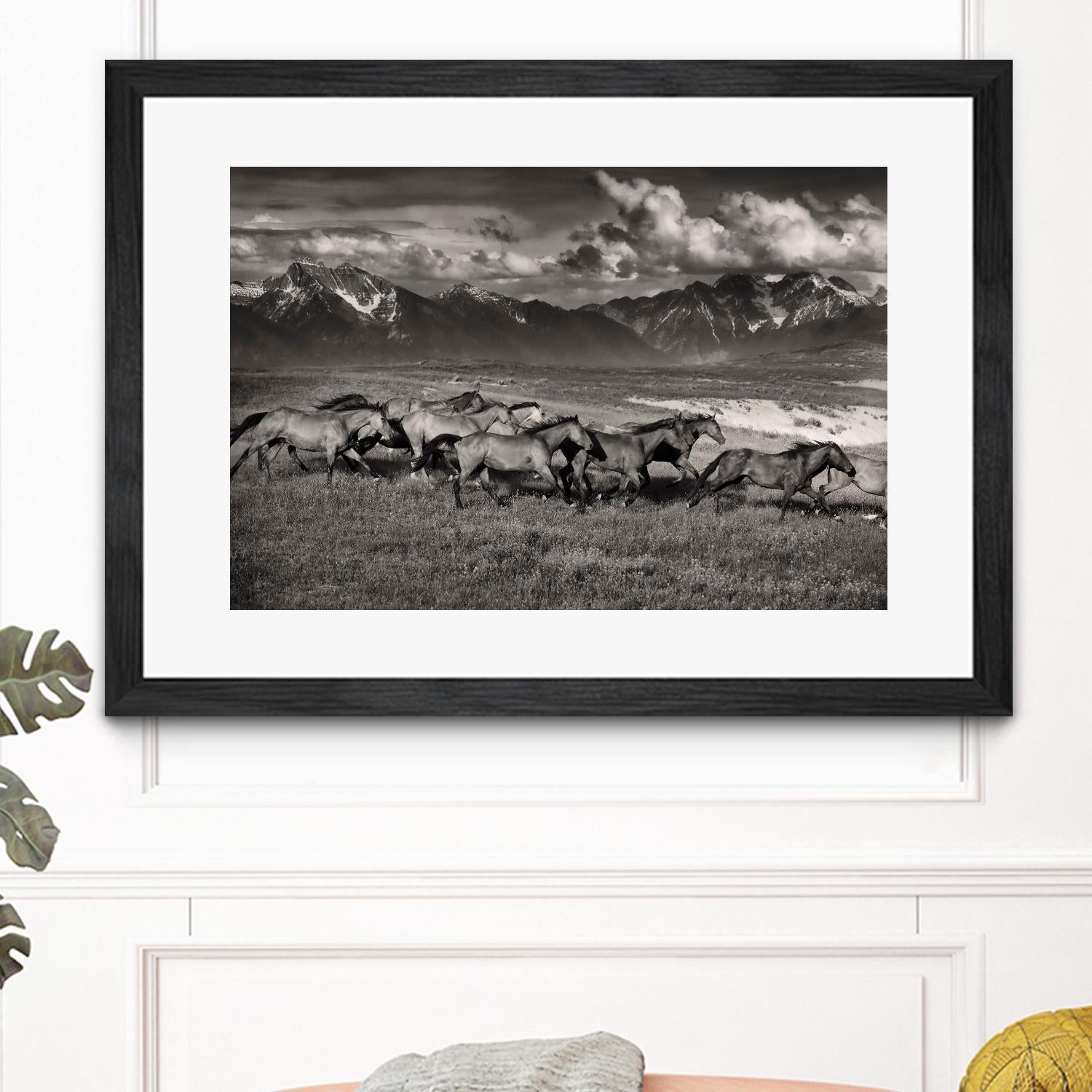 Mountain Range Mavericks by Lisa Dearing on GIANT ART - multicolor photography; animals