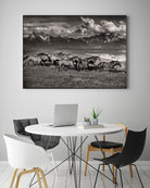Mountain Range Mavericks by Lisa Dearing on GIANT ART - multicolor photography; animals